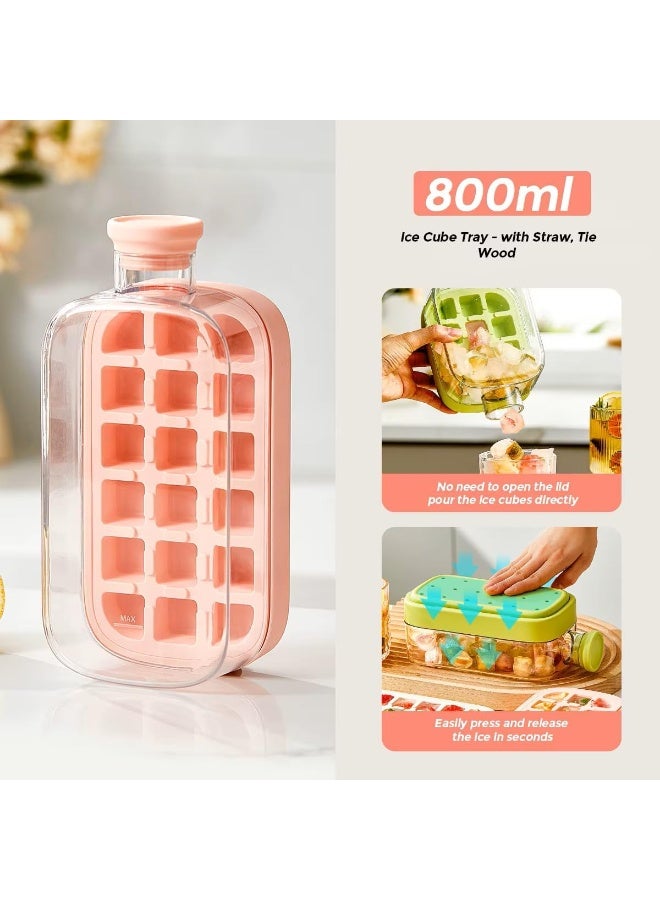 MOMENT 2 in 1 Ice Cube Bottle with Straw Easy Press Ice Tray Water Bottle, Leak Proof Lid, Vertical Tray Perfect for Travel, Gym, Home - 800mL Pink